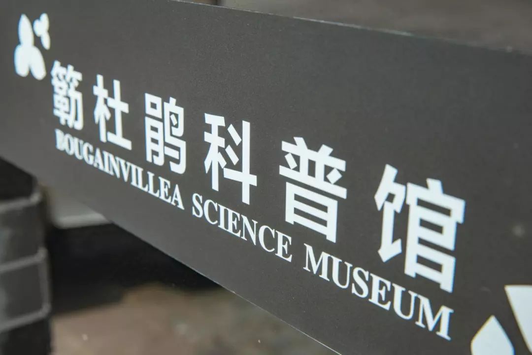 人少还免门票！深圳这片5000000㎡新公园美翻了，“神仙花谷”