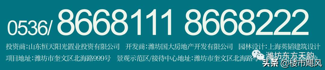 东方天韵潍坊韵和园房价,东方天韵潍坊韵和园110户型