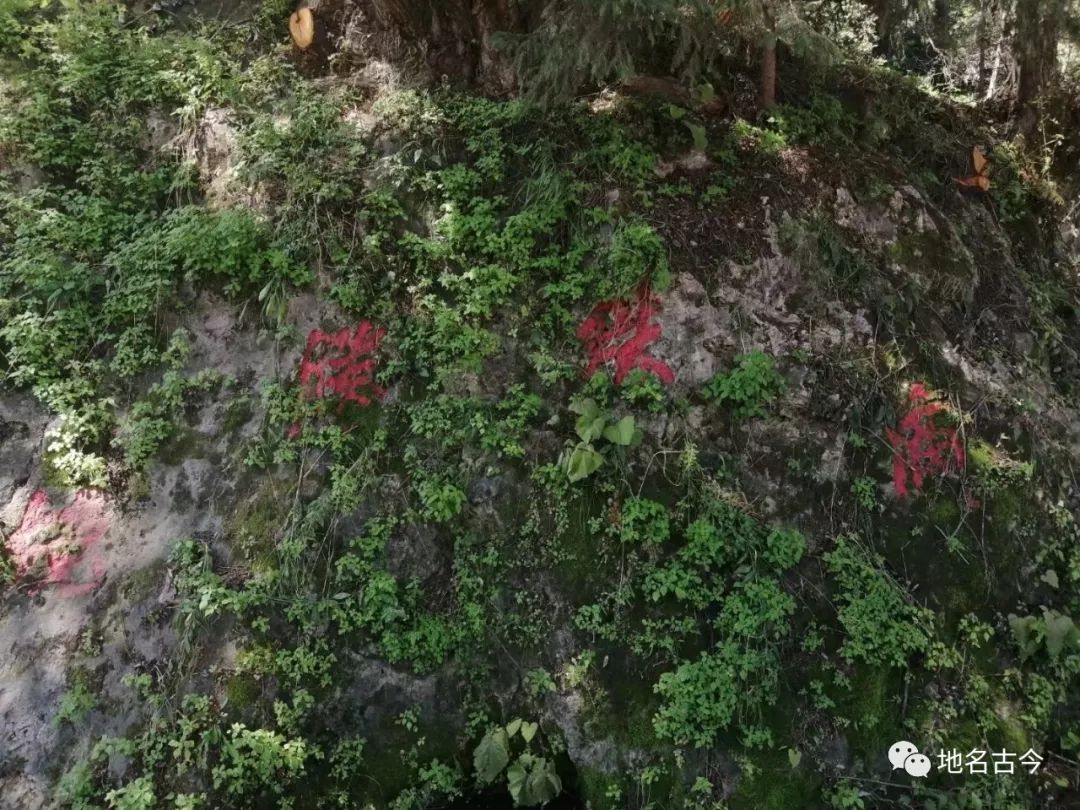 甘肃和政我为家乡代言,和政的家乡风景