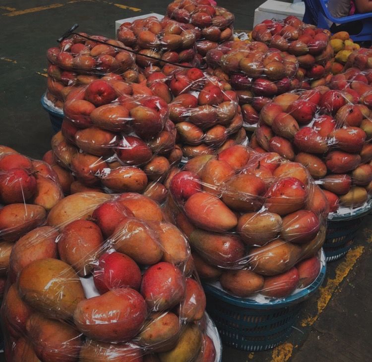 在三亚度假的日常生活,三亚度假旅游感受