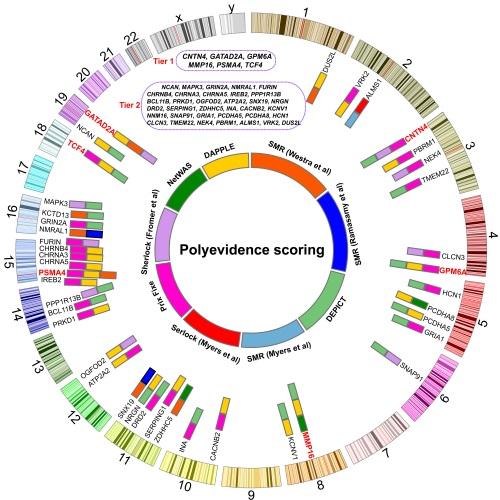 心理教授的心理问题,心理教授演讲