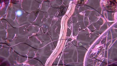 美白祛黄提亮肤色泡水喝,每天喝一杯可以美白淡斑清热解毒