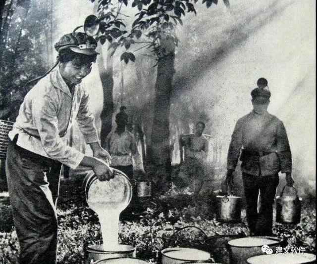 海南天然橡胶业,海南农垦有几个橡胶加工厂