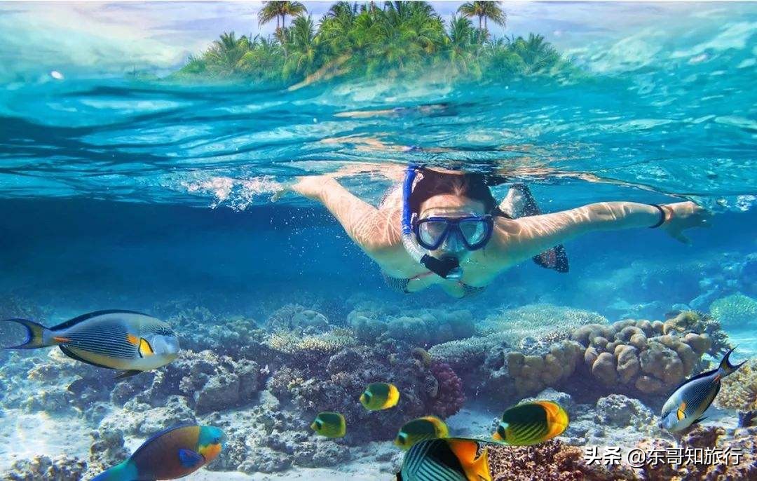 双月湾小星山浮潜和深潜的区别,惠州双月湾旅游攻略潜水