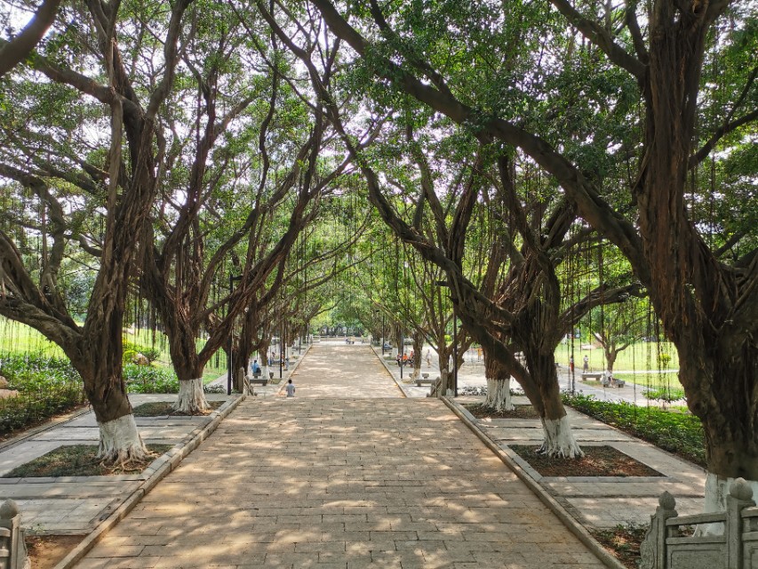 东莞长安周边一日游景点大全,东莞松山湖一日游最佳攻略