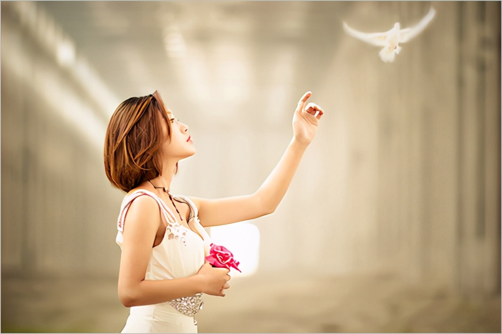 汉字真有趣汉字的进化史,你熟悉的汉字原来这么有趣