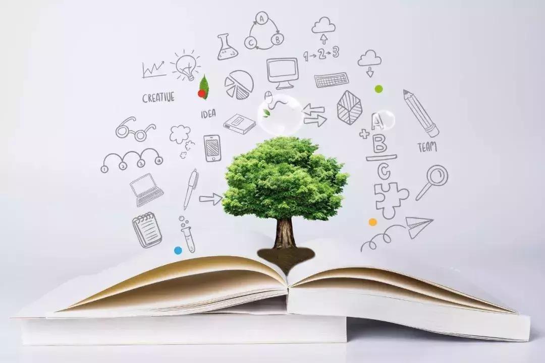 深圳十大国际学校,深圳有多少好学校