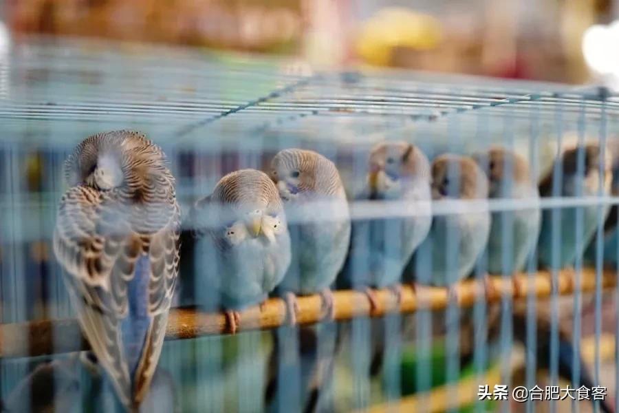 <html>
<head><title>502BadGateway</title></head>
<body>
<center><h1>502BadGateway</h1></center>
<hr><center>nginx</center>
</body>
</html>
<!--apaddingtodisableMSIEandChromefriendlyerrorpage-->
<!--apaddingtodisableMSIEandChromefriendlyerrorpage-->
<!--apaddingtodisableMSIEandChromefriendlyerrorpage-->
<!--apaddingtodisableMSIEandChromefriendlyerrorpage-->
<!--apaddingtodisableMSIEandChromefriendlyerrorpage-->
<!--apaddingtodisableMSIEandChromefriendlyerrorpage-->
