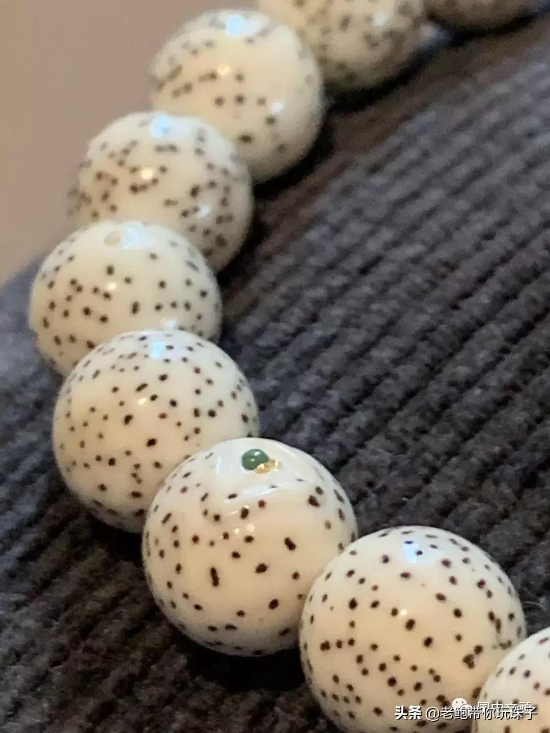 星月菩提咬手怎么办,菩提星月咬手