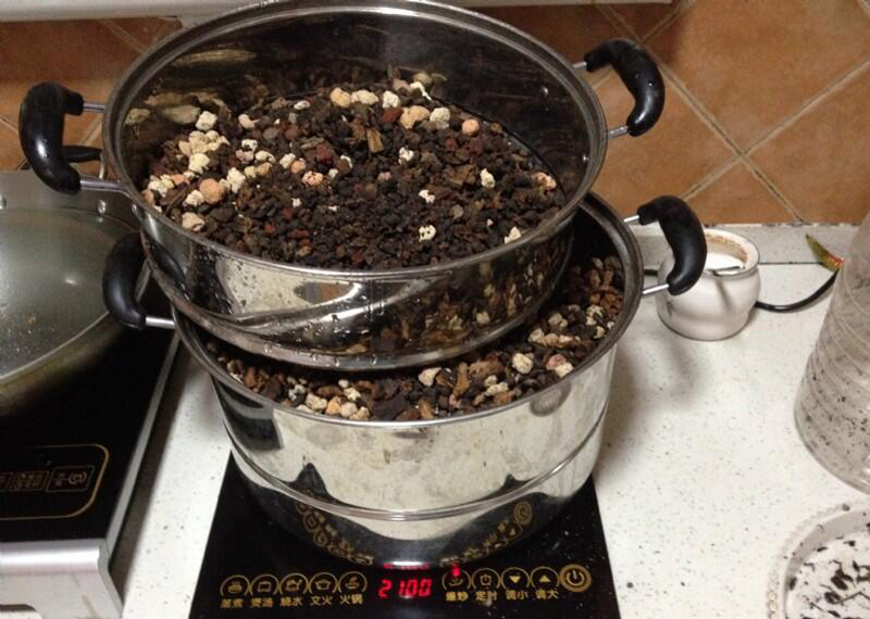 新买的兰花苗怎么样上盆,兰花上盆步骤详细演示讲解