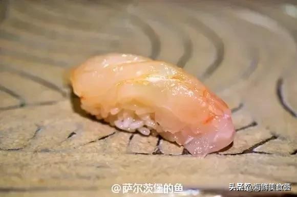各种寿司纯鲜三文鱼刺身,日本传统寿司都用什么鱼