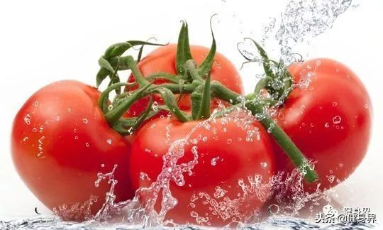 番茄红素如何制成,番茄红素500mg