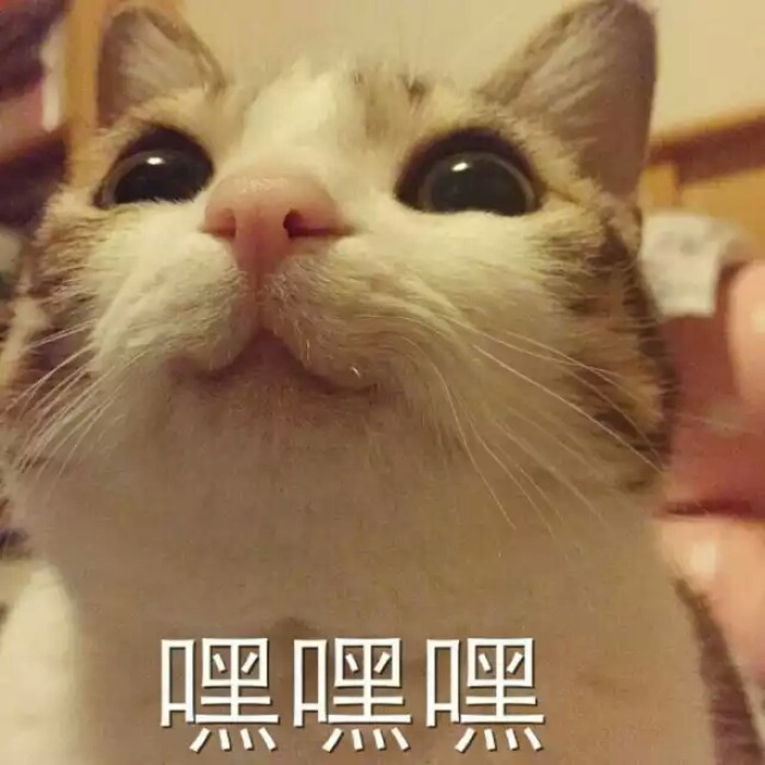 福特翼搏5万,翼搏全车整备