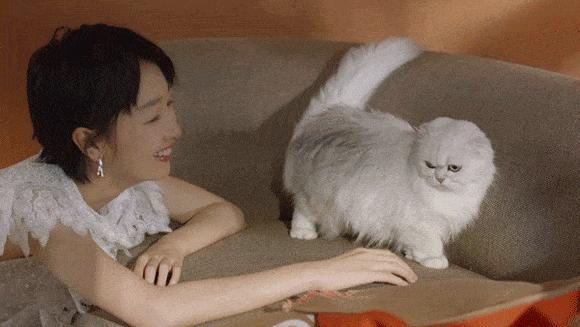 今天七夕明天立秋,今天怎么过七夕