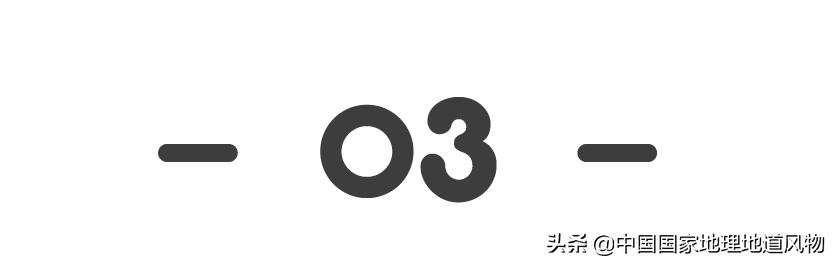 哪个地方的奥运冠军最多,中国哪个县世界冠军最多