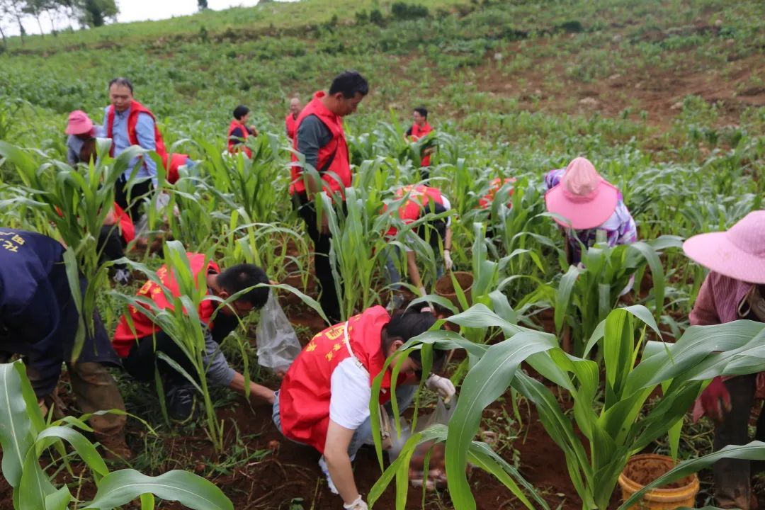 我为群众办实事法院篇,我为群众办实事工作计划法院篇