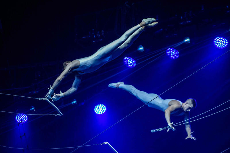 广州长隆野生动物世界旅游攻略,长隆野生动物世界攻略2-3天广州游