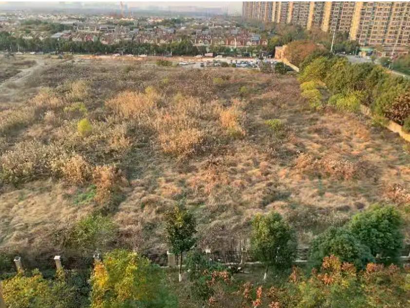 太难了！这个区2所学校迟迟不动工？家门口20余年无配套学校？