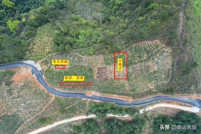 茶中翡翠，歙县滴水香——一颗蒙尘在北纬30°线上的黄山明珠