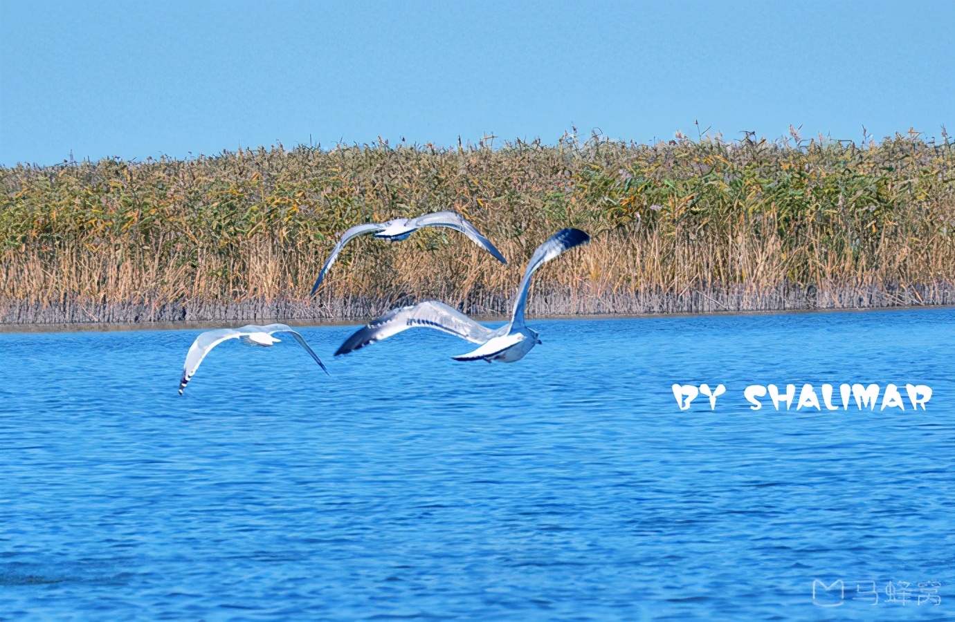 辽宁省盘锦市有哪几个区,辽宁省盘锦市所辖区有哪些