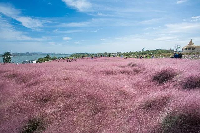 中国之美惊艳全世界,中国之美镜头视频