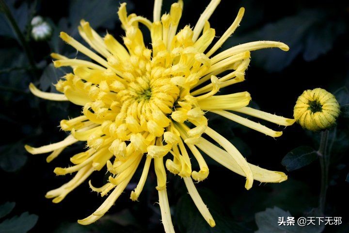 中国科学家对李政道的评价,中国科学史李申书评