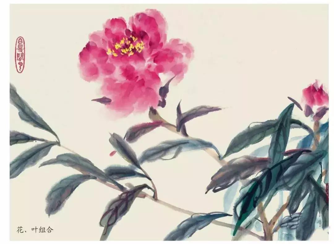 国画团扇花卉画法,国画中常见花卉的画法