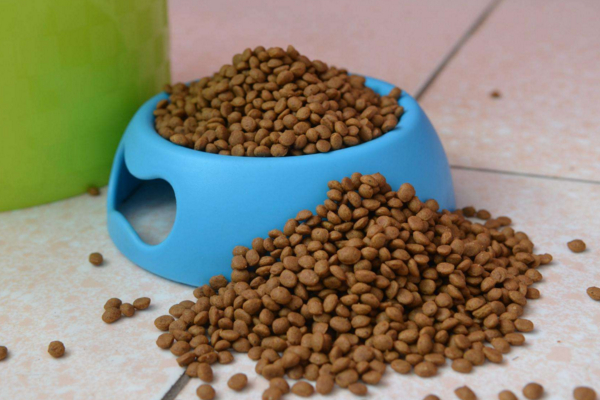 狗狗长双排牙还能自己掉吗,狗狗双排牙治疗