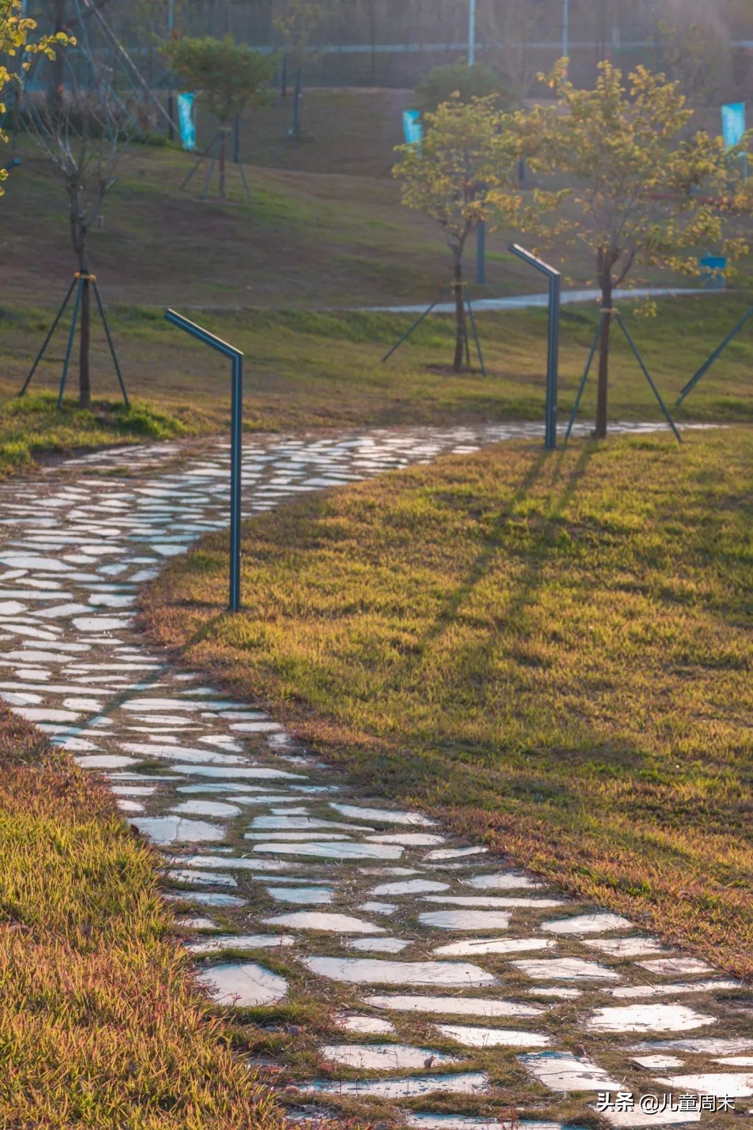 深圳中心公园足球场,深圳中心公园大草坪