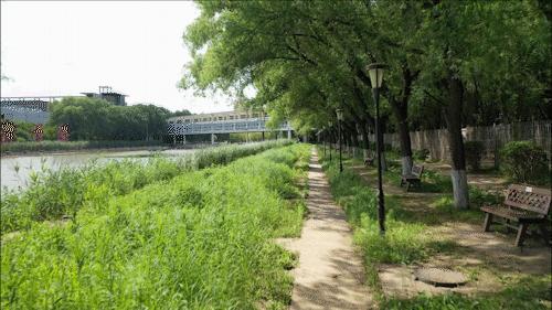 母校前面的广场是什么广场,母校校门设置