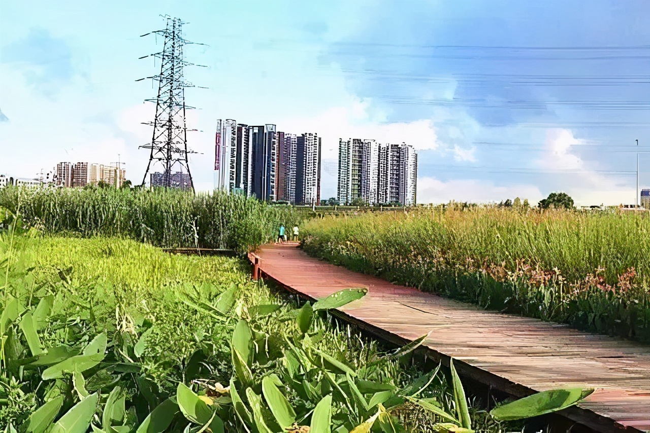 深圳免门票景点推荐,深圳市内近20个景点一票通玩