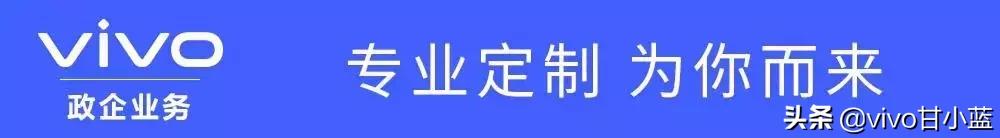 vivo政企业务,vivo行政服务平台