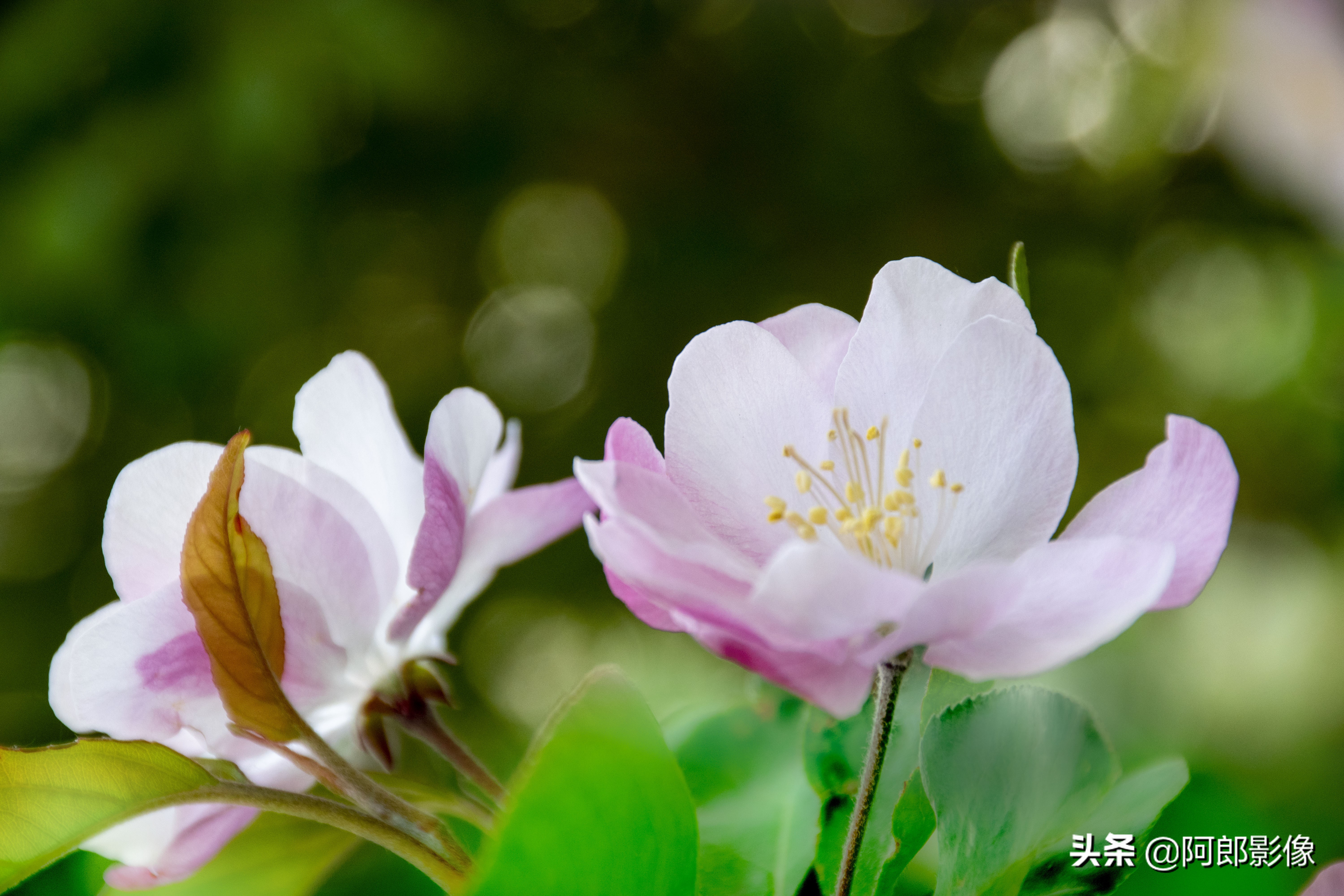 跟着阿东学摄影,跟着阿牛师傅学知识