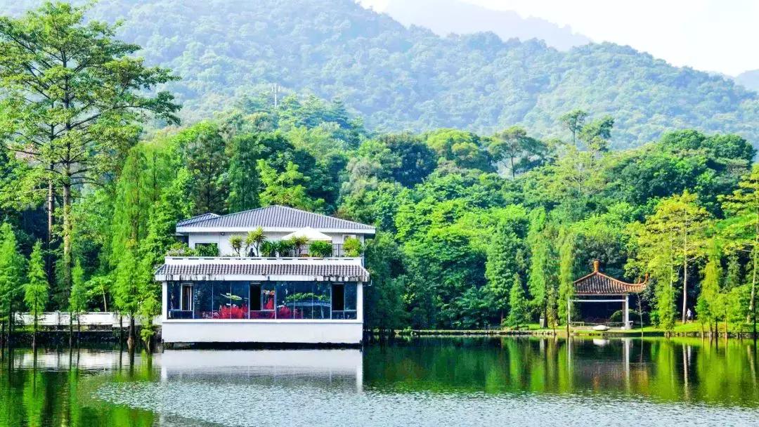 广州白云山风景区最新通知,广州白云山南麓片区改造