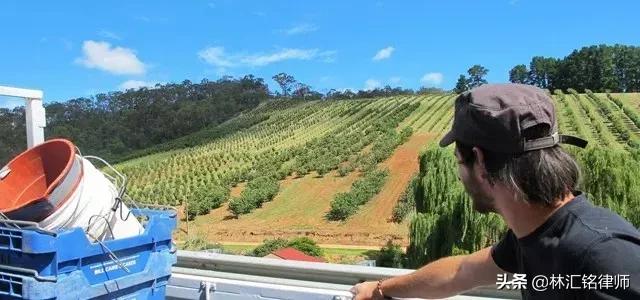 澳洲签证最新政策出台了吗,澳洲严查留学生签证