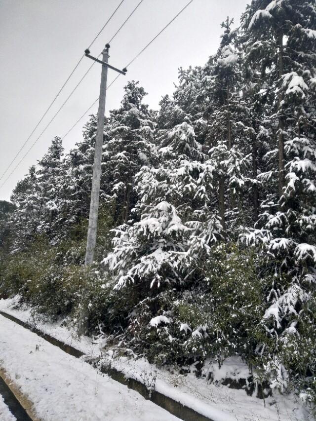 2018年辛苦了,2018辛苦了致自己