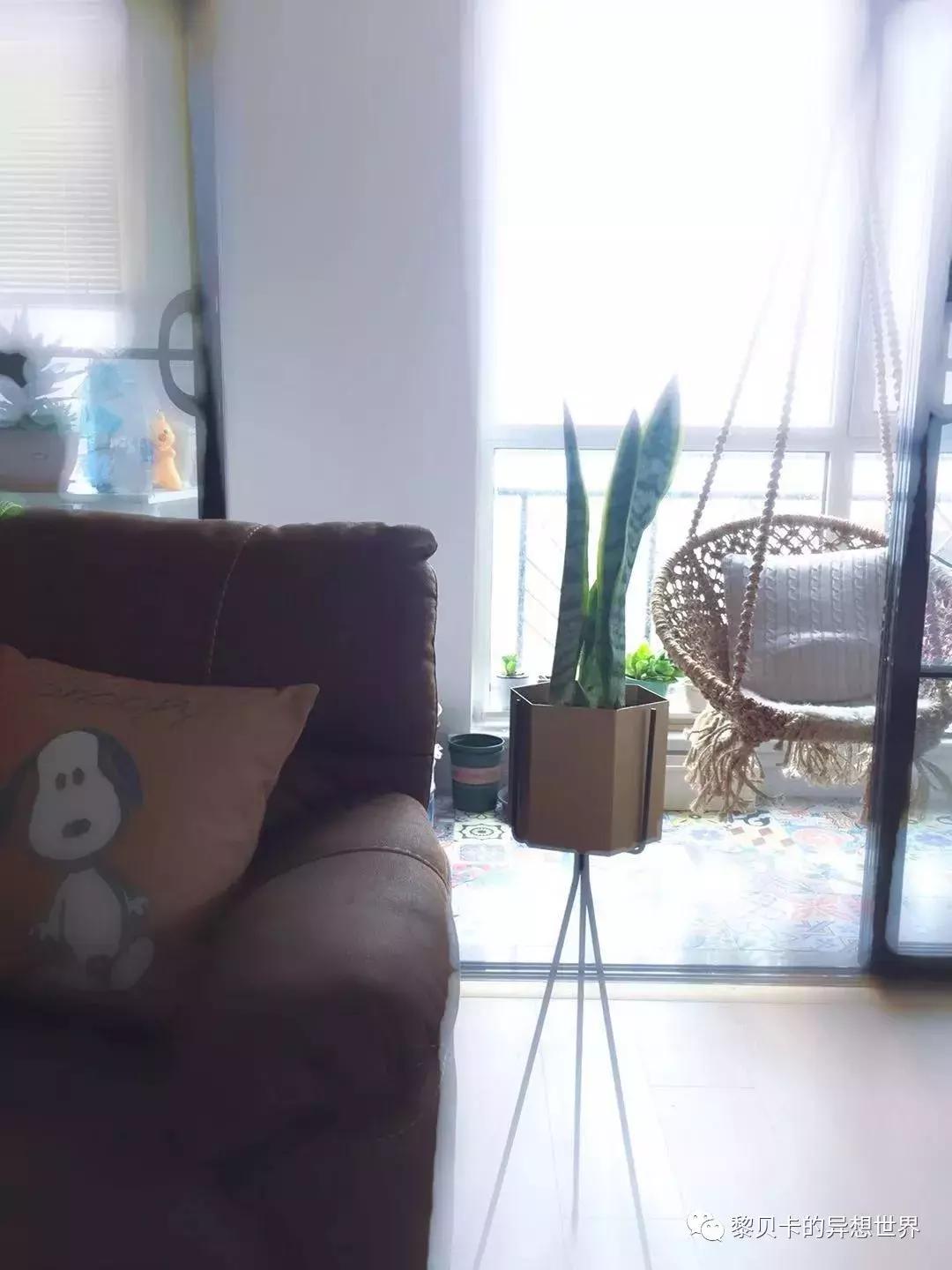 去年双十一买的东西都用完了吗,双十一买的最后悔的东西