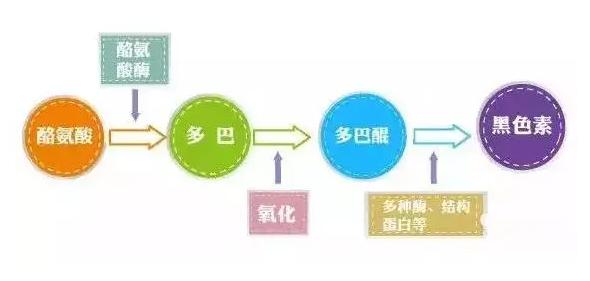 白癜风黑色素再生疗法,白癜风的黑色素缺失怎么造成的