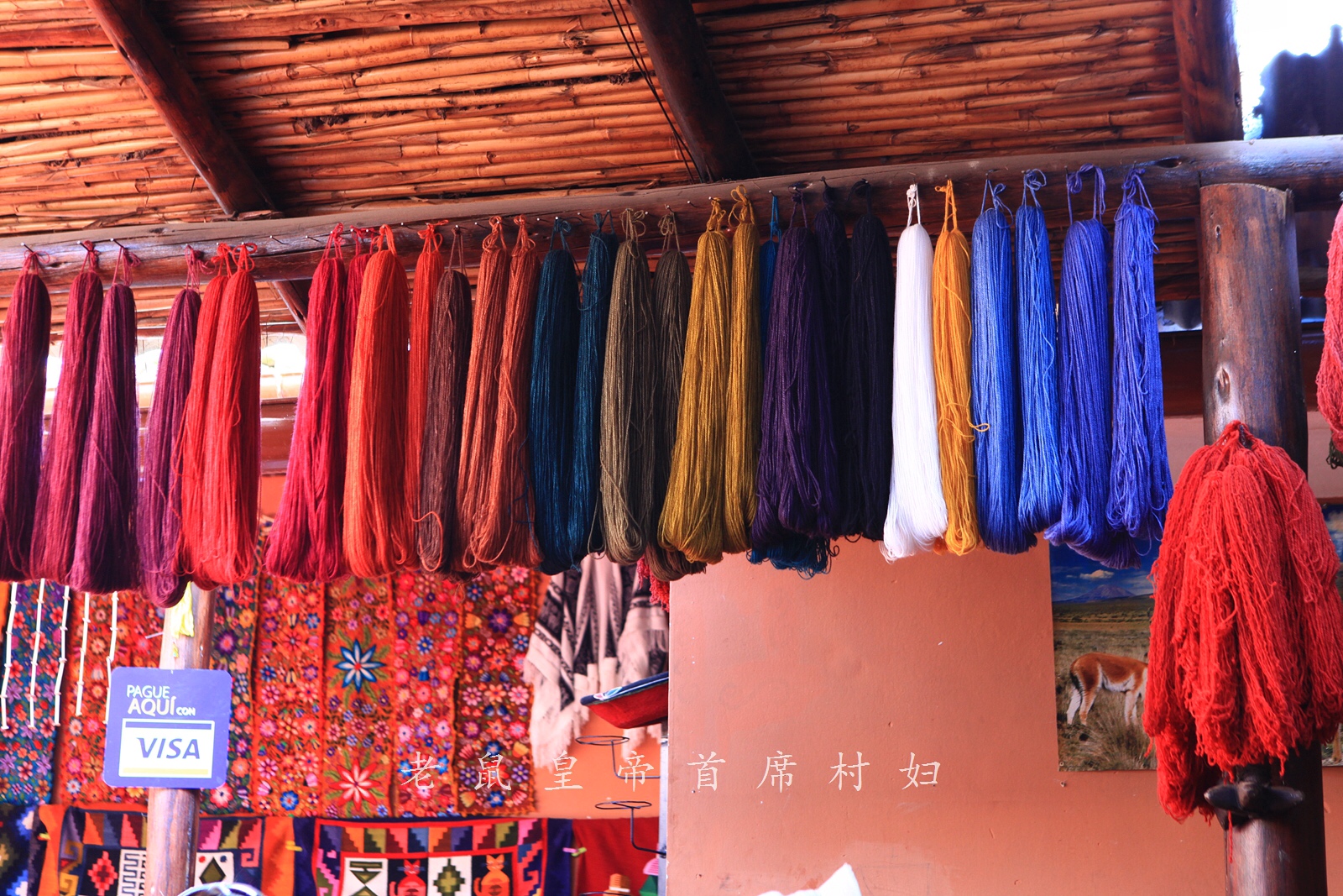 南美千年印加古镇,妇女掌握独门神技:用仙人掌真菌做口红