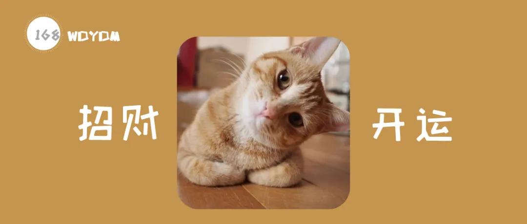 猫咪胡子从根部脱落什么原因,猫咪胡子弄掉了怎么办