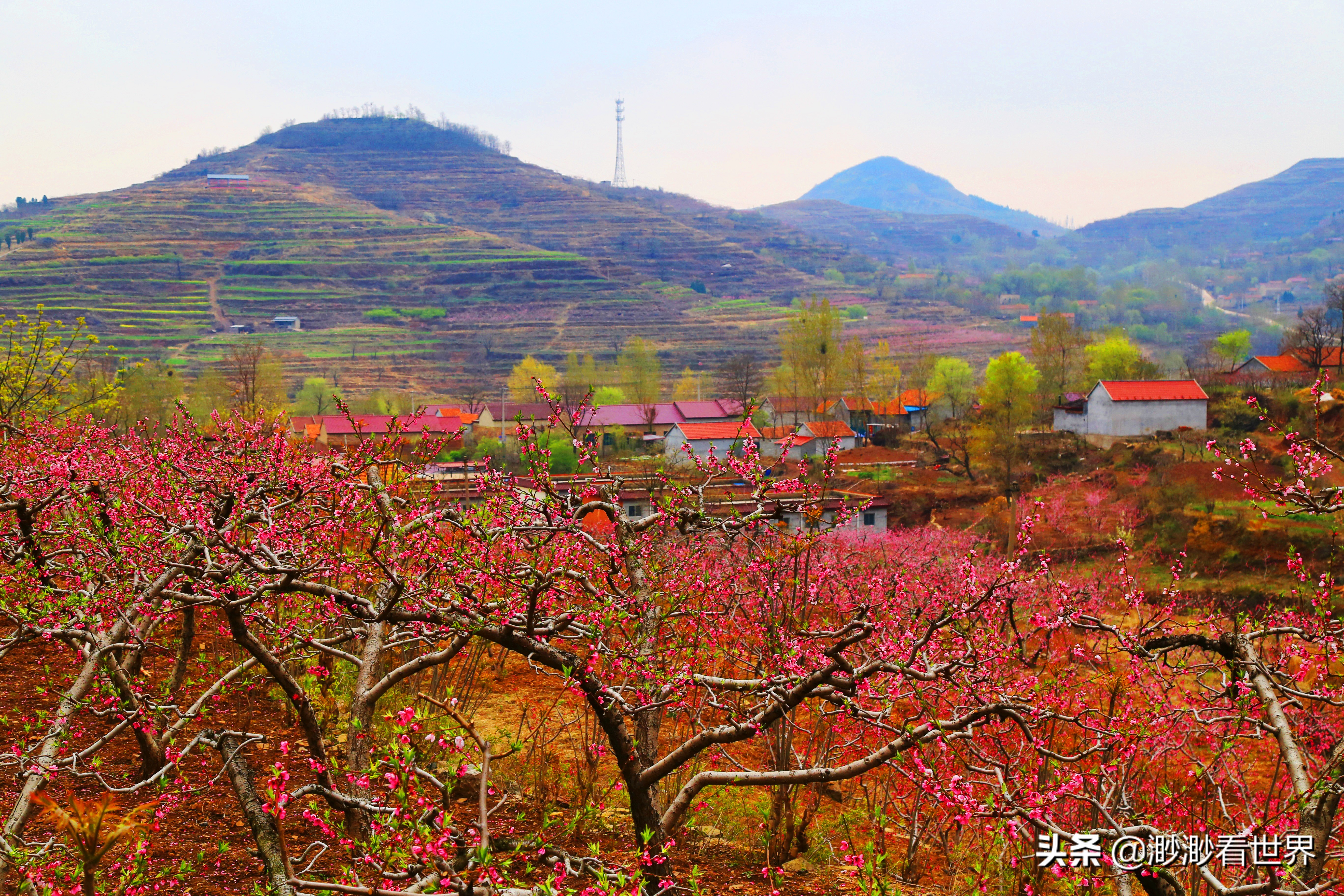 探索蒙阴岱崮地貌旅游奇景,沂南县岱崮地貌