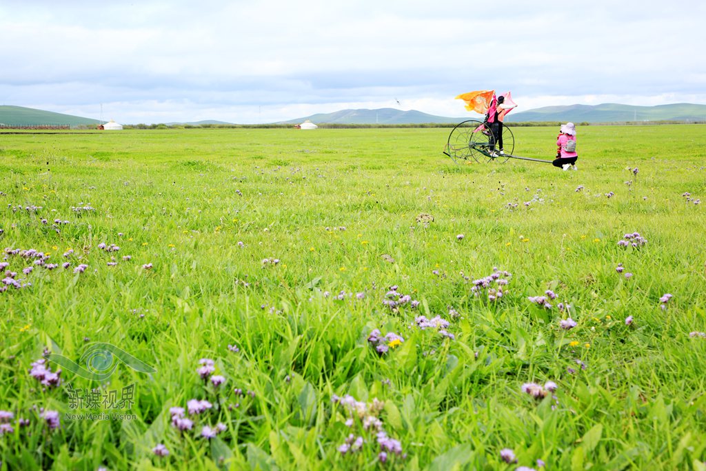 降央卓玛歌曲天边呼伦贝尔大草原 (今日的呼伦贝尔大草原)