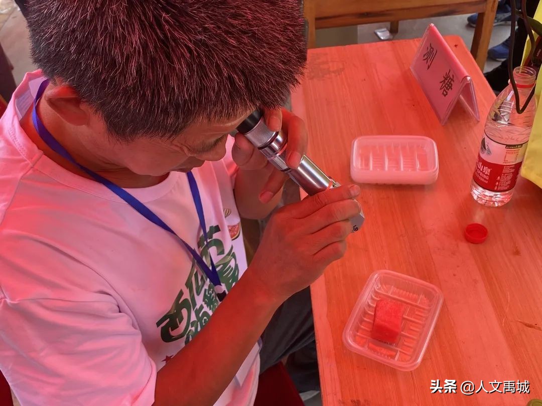 瓜瓜乐最新消息,刮刮乐最新动态