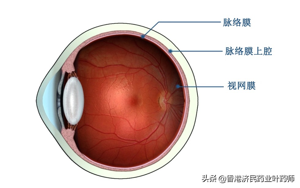 治疗葡萄膜炎的生物制剂有什么,葡萄膜炎专用药