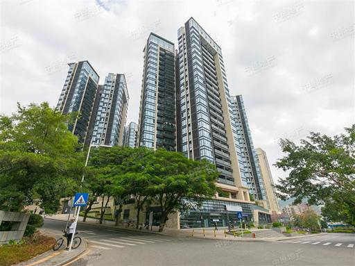 前海赤湾未来规划图,前海发展潜力有多强