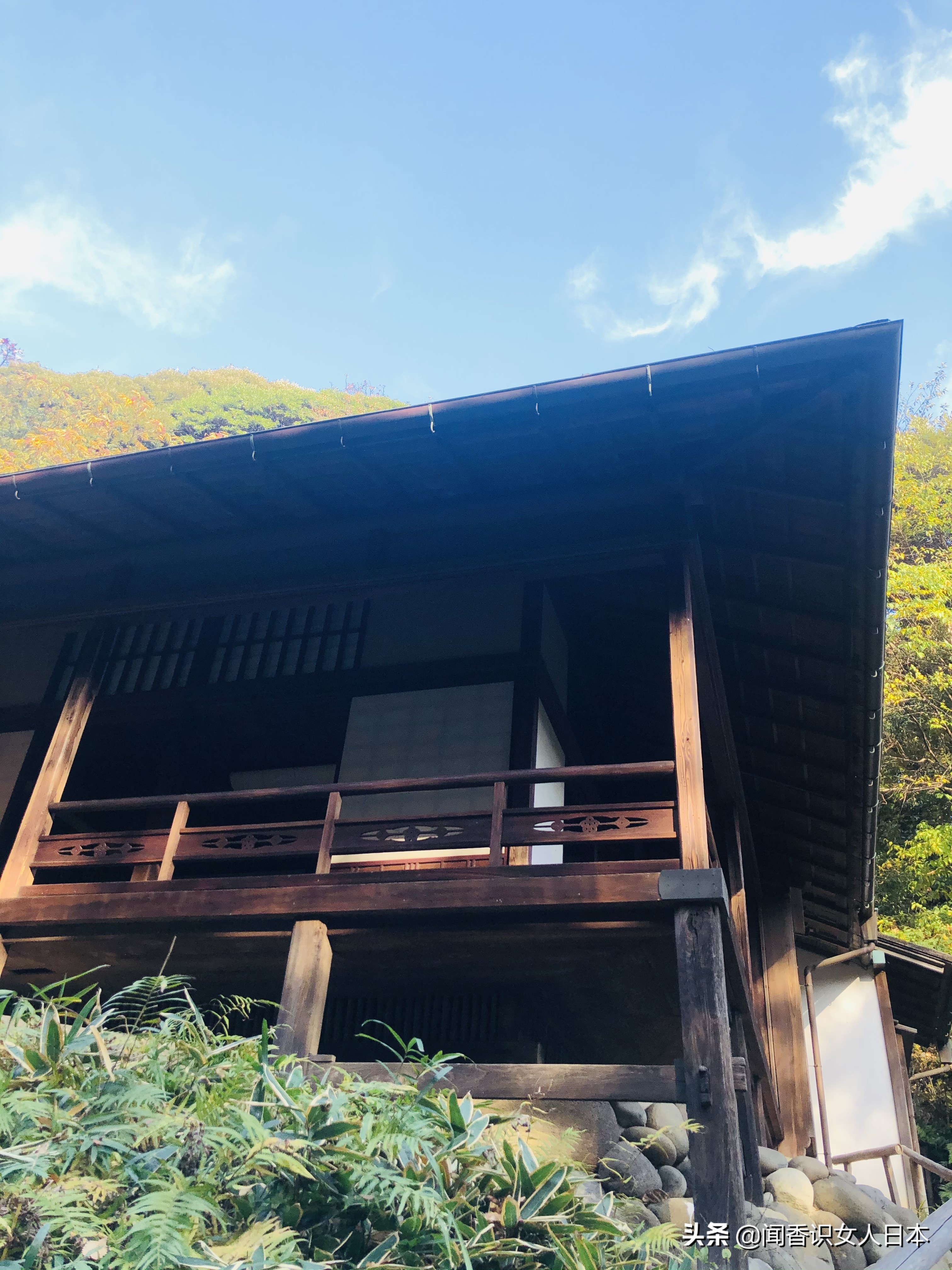 横滨三溪园,横滨三溪园介绍