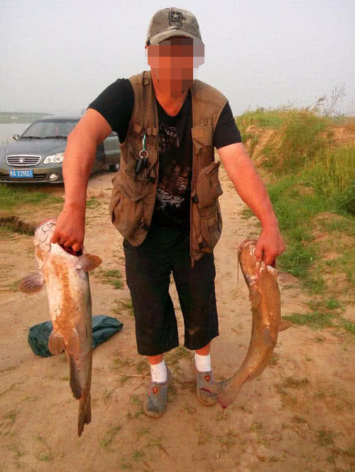 叉尾鮰鱼怎么处理,叉尾鮰的鱼的习性与钓法