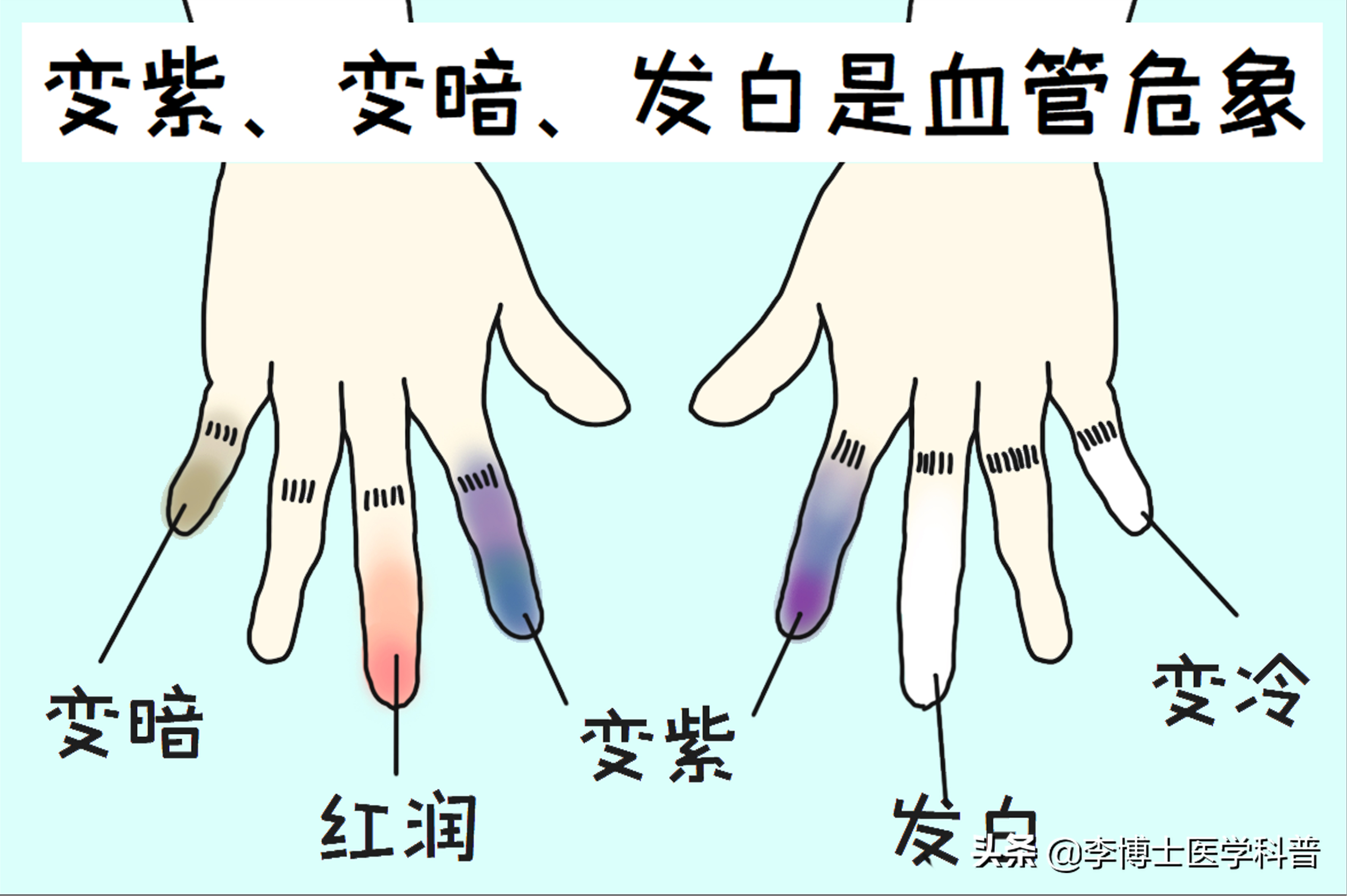 断指再植健康科普视频,断指再植技术是什么