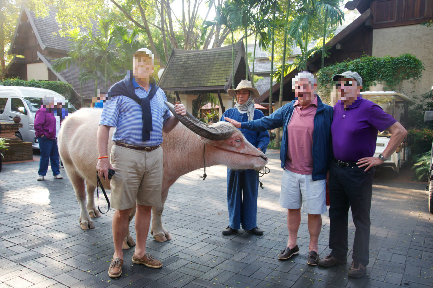 五星级酒店免费的东西,五星级酒店的超值服务