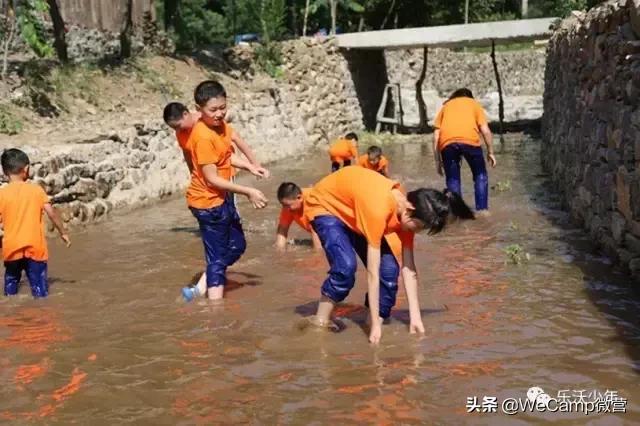 济南比较好的小学生夏令营,山东小学生夏令营